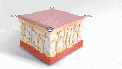 网友|高圆圆复出有点坎坷，产后1年首次亮相网友们为这生图吵翻天！