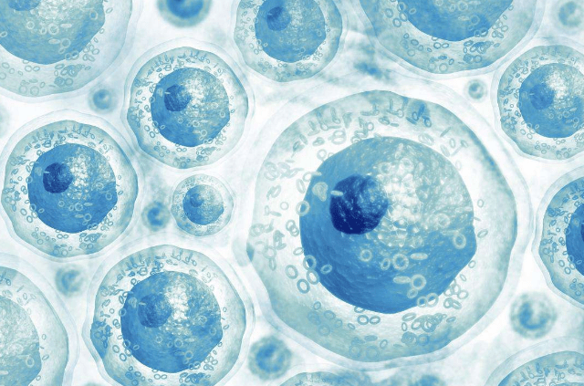 干细胞技术3大临床应用发展方向,掀起未来医学领域新革命!