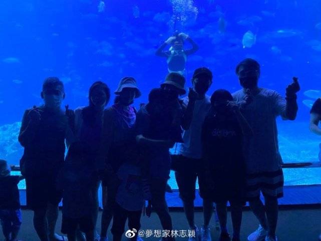 哥哥|双子星好激动，11岁黑米哥哥超爸爸肩膀林志颖带仨儿子逛海洋馆