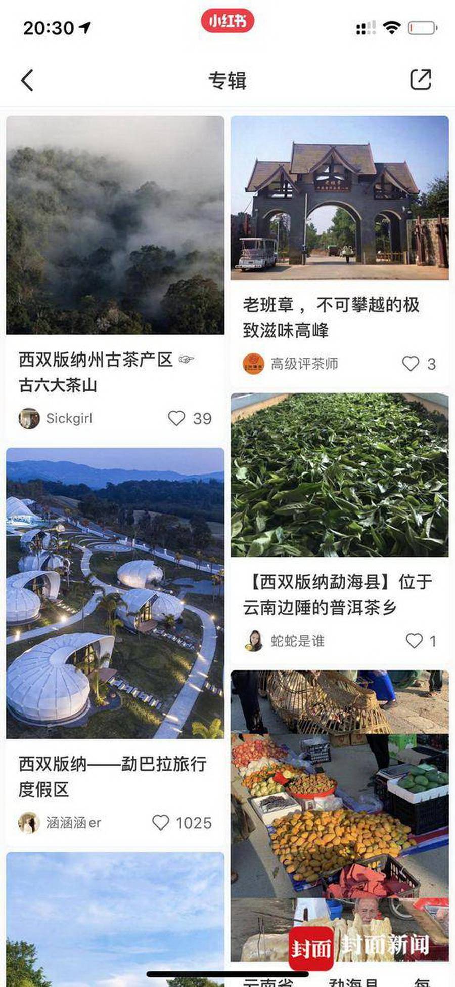 李倩月|三评南京女大学生是好奇害死猫吗？