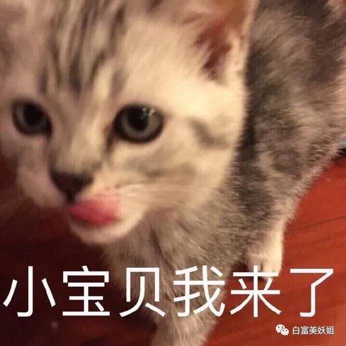 I'am|上海15岁富二代背景神秘不可说，王菲女儿都不敢抢她风头？