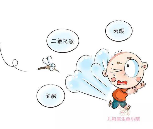 蚊子|夏天宝宝外出怎么防蚊？医生：最简单最管用的办法就是这6个