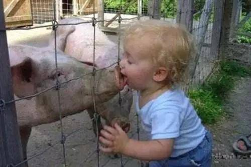 孩子|孩子太干净更容易得白血病？怪不得德国娃都泥里打滚