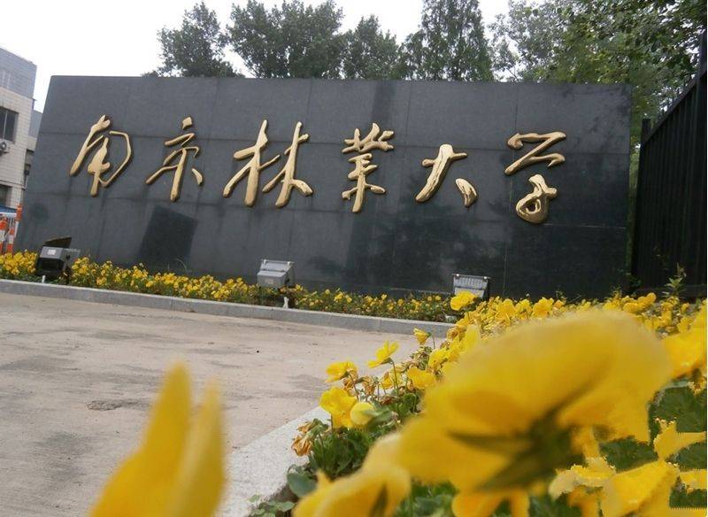 最好的|我国几所最好的林业大学到底值不值得读