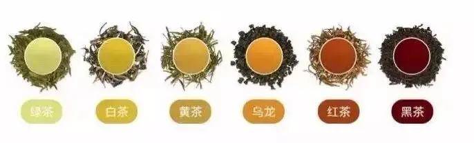 建议|一次性把中国茶讲清楚(建议收藏)
