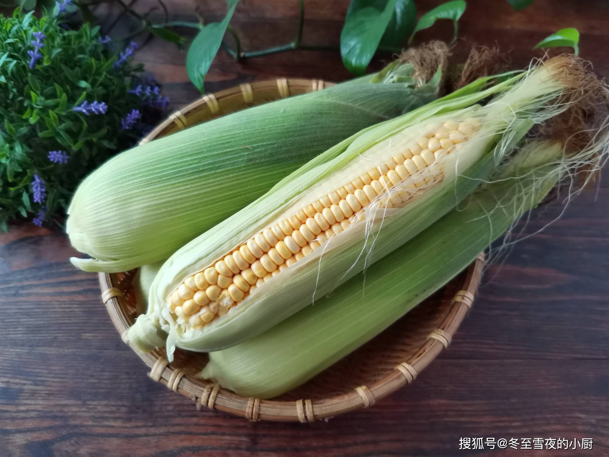技巧|煮时加入1勺它，玉米熟得快、营养吸收好煮苞米的实用小技巧