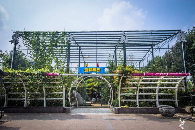 亚洲摩天轮排行榜_世界最高摩天轮排行榜,和最爱的人享受浪漫时光