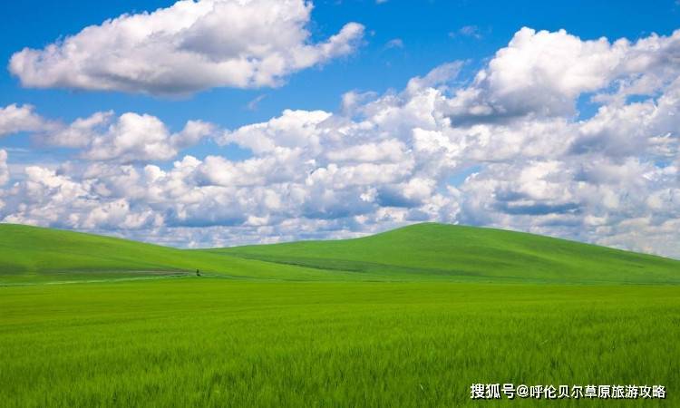 13d448fc13c743758bf7920ee0d87b37.jpeg