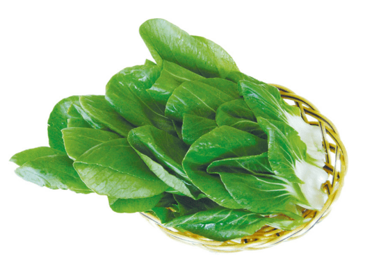 什么时间种油菜 07fe571362d24309ae34a48ac12d2d8b.png