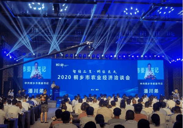 2020桐乡市GDP_桐乡市地图(2)