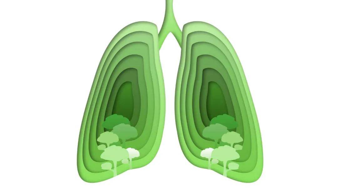 会多发 比如鼻炎,咽炎,喉炎,哮喘 急性上呼吸道感染,支气管炎,肺炎等