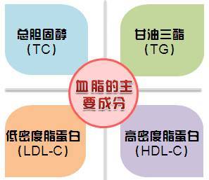 dcb4ad09cbf24d6189dd771c7272d78d.jpeg