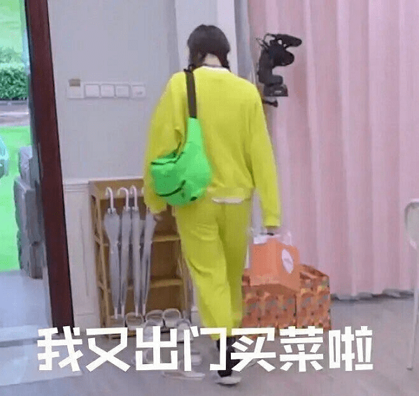 James|《乘风破浪的姐姐》成功出圈后，艺术界也开始凑热闹？