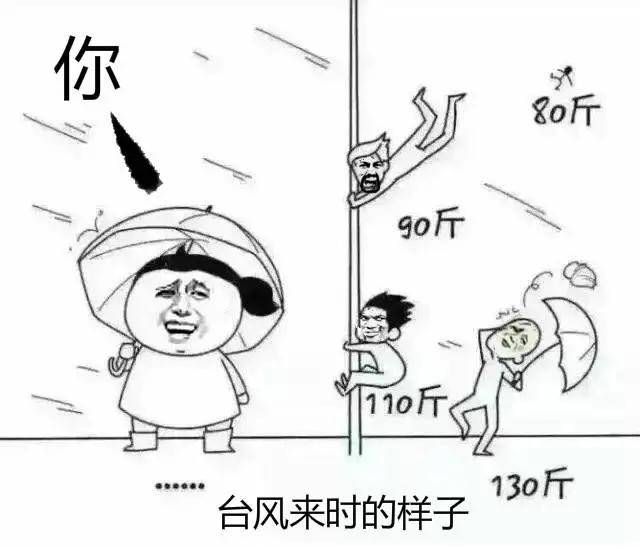 中欧芒果温馨提醒:起风啦,要注意安全啊!