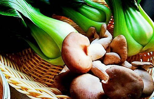 调制|三天两头蒸一锅它，清肠瘦身，体重往下掉8月是吃粗粮的好时节