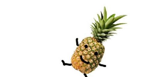 菠萝怎么种才能成功 33b553711f484f86928fa0f0660e3e0b.jpeg