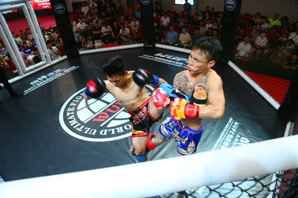 2020WUFC世界终极格斗联赛·拳王争霸在南阳成功举办