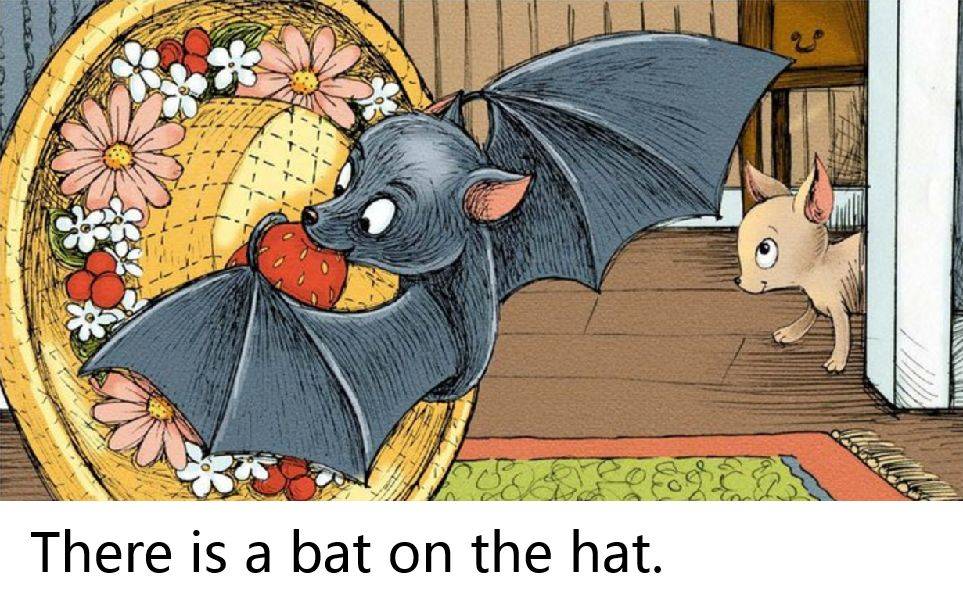 there is   bat on the hat. 有一只蝙蝠在帽子上.