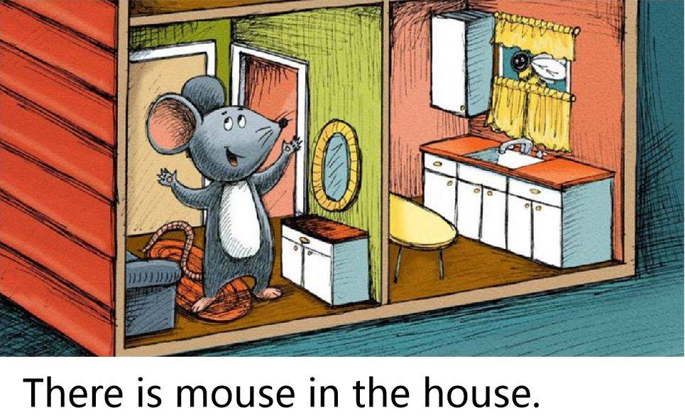 there is   mouse in the house. 这里有一只老鼠在房子里.