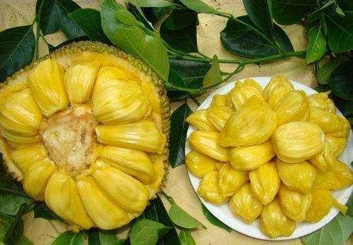 零食|不想老太快，冬天多吃，补血养颜，纤体瘦身女性最好的零食