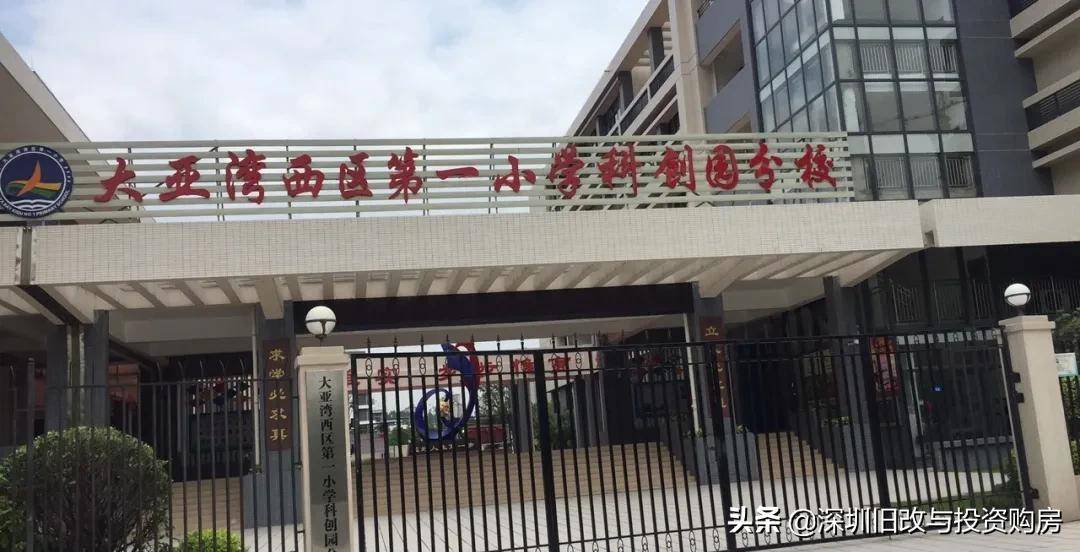 2020年大亚湾GDP_2020-2021跨年图片(3)