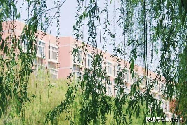 消息资讯|郑州大学2020年本科一批录取结果公布，多少分可以被郑州大学录取