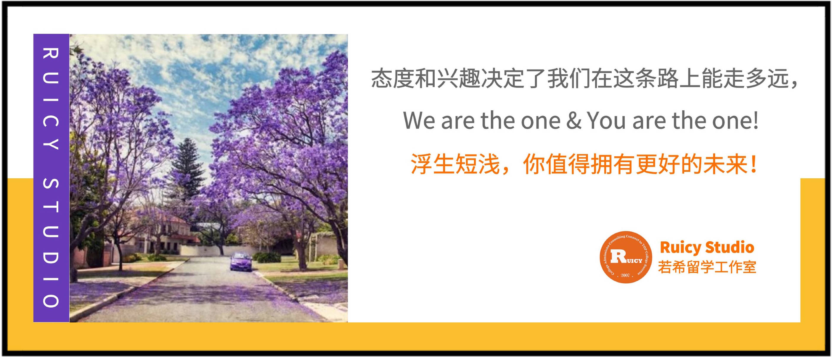 知识科普|关于为学生提供升学指导、职业规划及背景优化的服务优势介绍【Ruicy Studio】