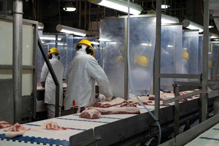 原创加拿大肉企出现问题德国有望保持中国第一大猪肉出口国地位