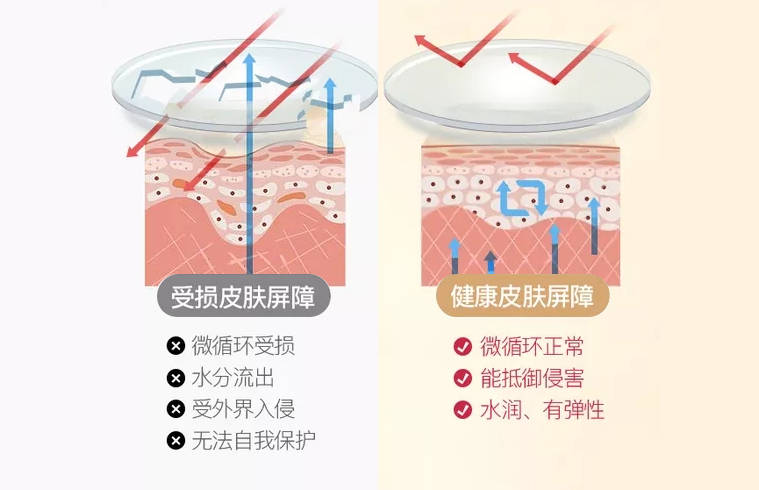 健康皮肤屏障的功能