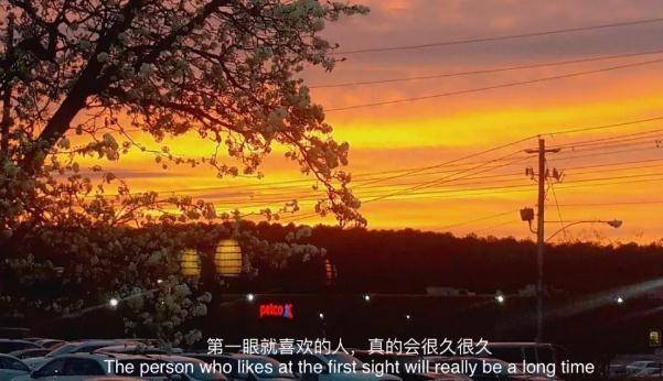 网抑云经典语录!