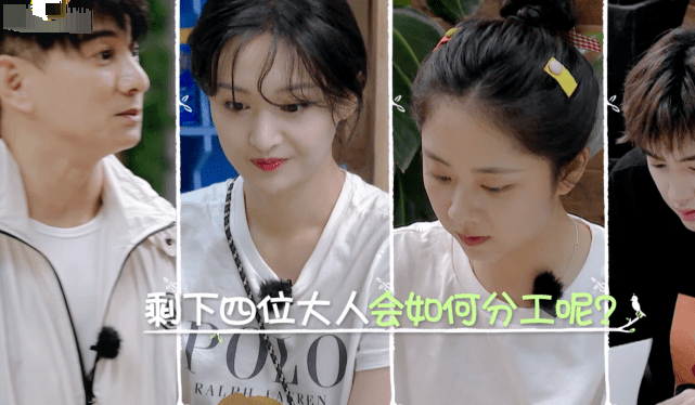 真假友谊，一部短剧的深度解析与免费观看，真假友谊，短剧深度解析与免费观看指南