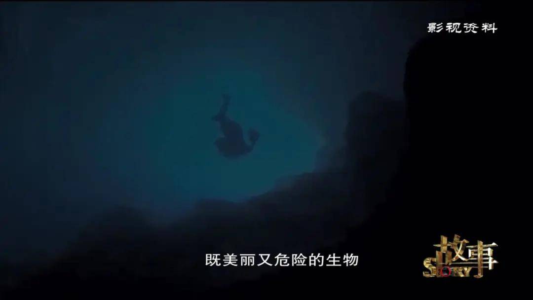 彭阳|你没见过的“东方美人鱼” 穿越时空的她出土于宁夏彭阳