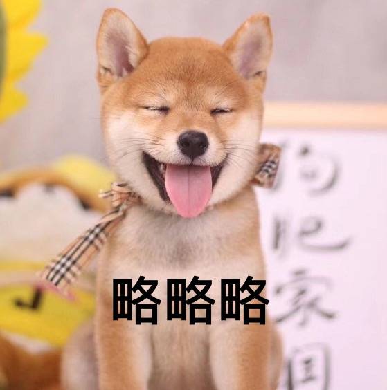 doge是柴犬吗?看完柴犬表情包,网友:想养狗