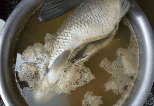 怎么解冻鱼肉最快最有效 defe42ee601d4231b01ace635d7598da.jpeg