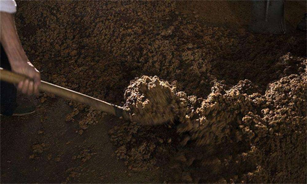 酿酒|加入辅料好处这么多！原来用酿酒设备做固态酒时