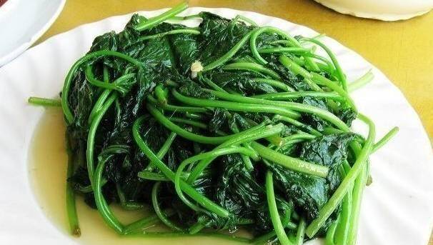 胡萝卜叶子怎么吃好吃 ef359846842d40b3a8eec76d05a762e4.jpeg