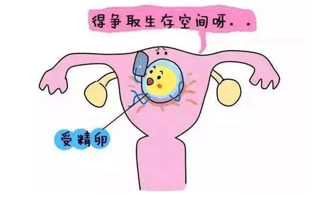 腺肌症还有怀孕希望吗？几率有多大？