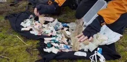 英女王宣布：向全人类公敌宣战，网友全力支持