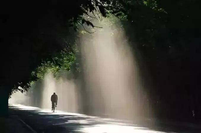 写给渐渐老去的自己