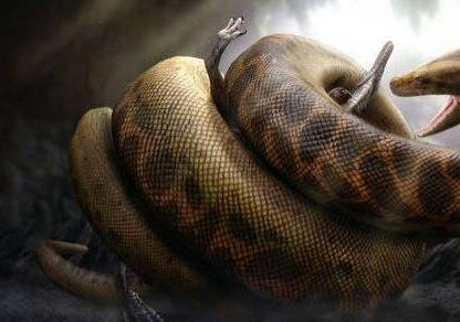 人类已知最大的蛇类,史前塞雷洪泰坦蟒长15米
