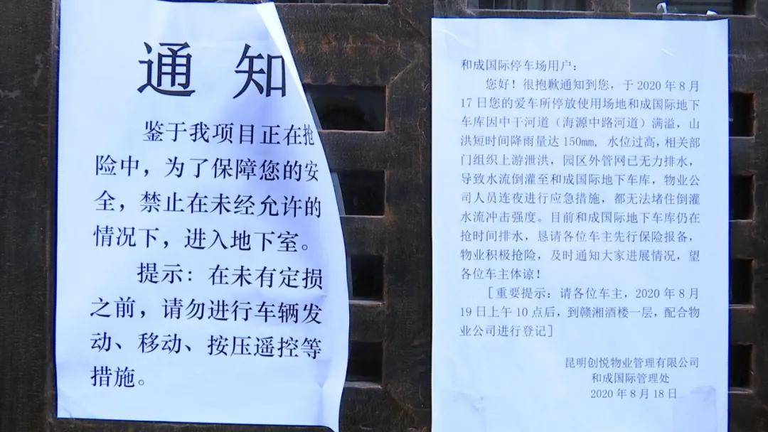 惨重！上百辆车被淹、价值千万元茶叶被泡！损