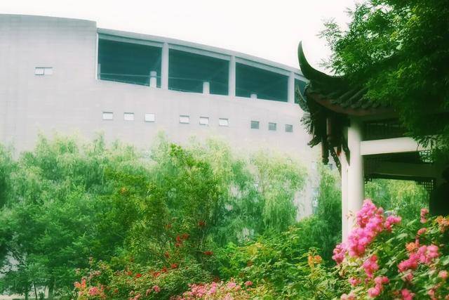 大学|迎来新发展！四川这所大学将由省部共建