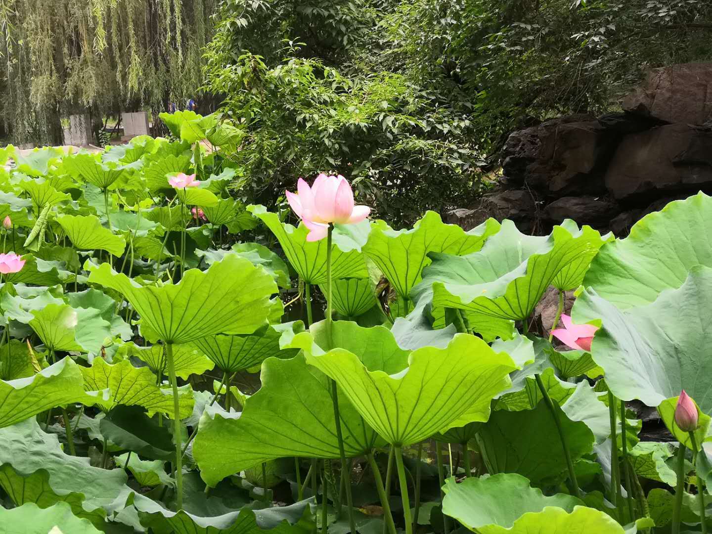 西藏|以省份命名却不在本省，有你的大学吗？国内很独特的4所大学