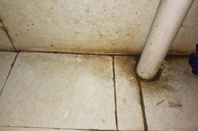 瓷砖上怎么刮白 eb1e88c833534e57aa89f20868039478.jpeg