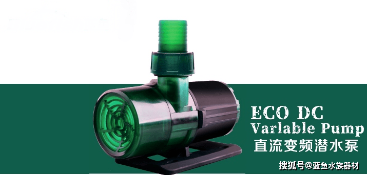 产地|龙鱼产地及各地龙鱼的具体地理分布