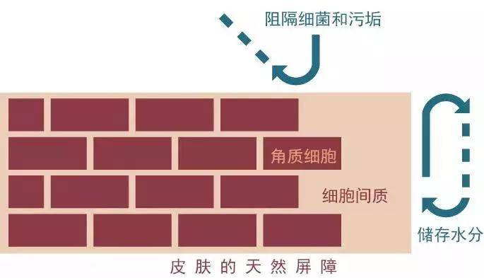 镜子|以前拿央视镜头当镜子，现在十级滤镜都磨不平，刘亦菲鼻子到底咋了？