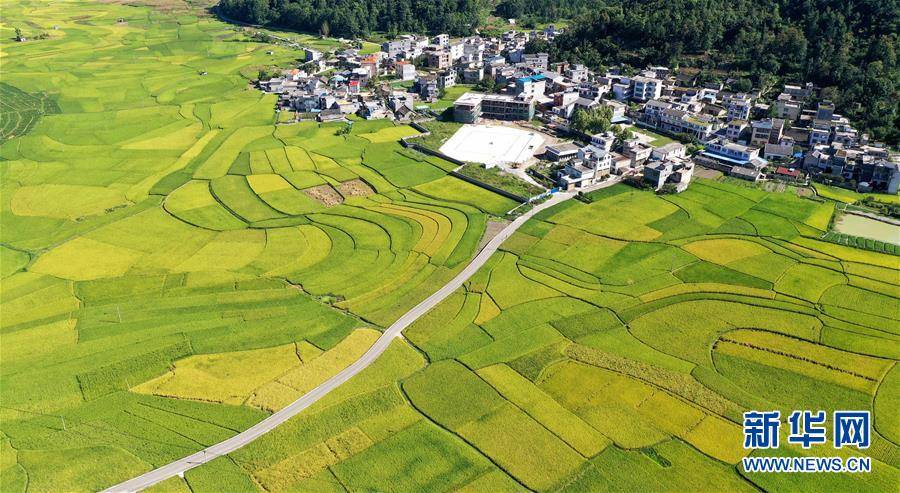 贵州省安龙县gdp是多少_平安是福图片(3)