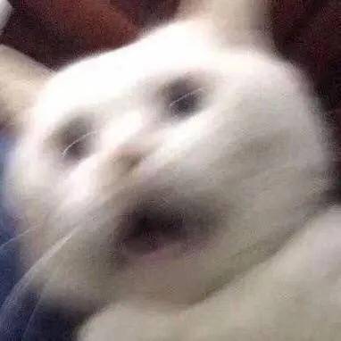 姐妹|直播卸妆想要证明自己是素颜美人,却因太敷衍被嘲假鼻子假脸碰不得?