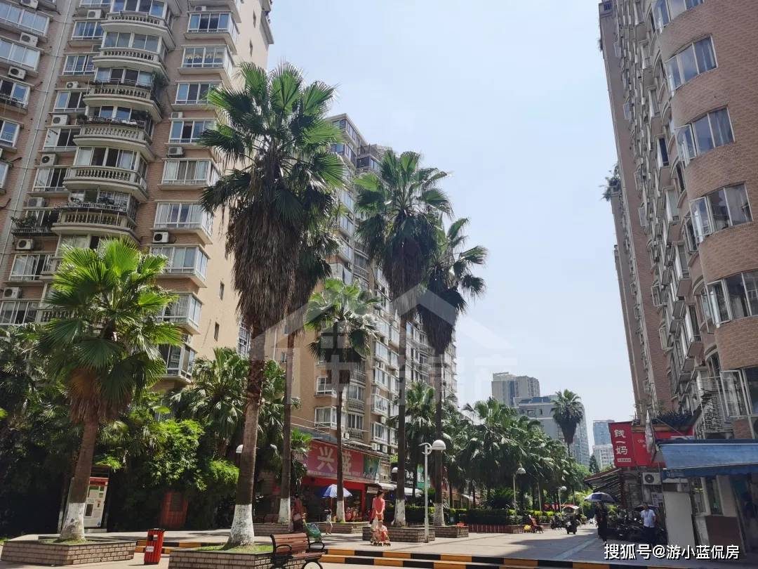 株洲湘银小区湘银世纪花园测评超大居住组团楼梯房别墅高层一网打尽