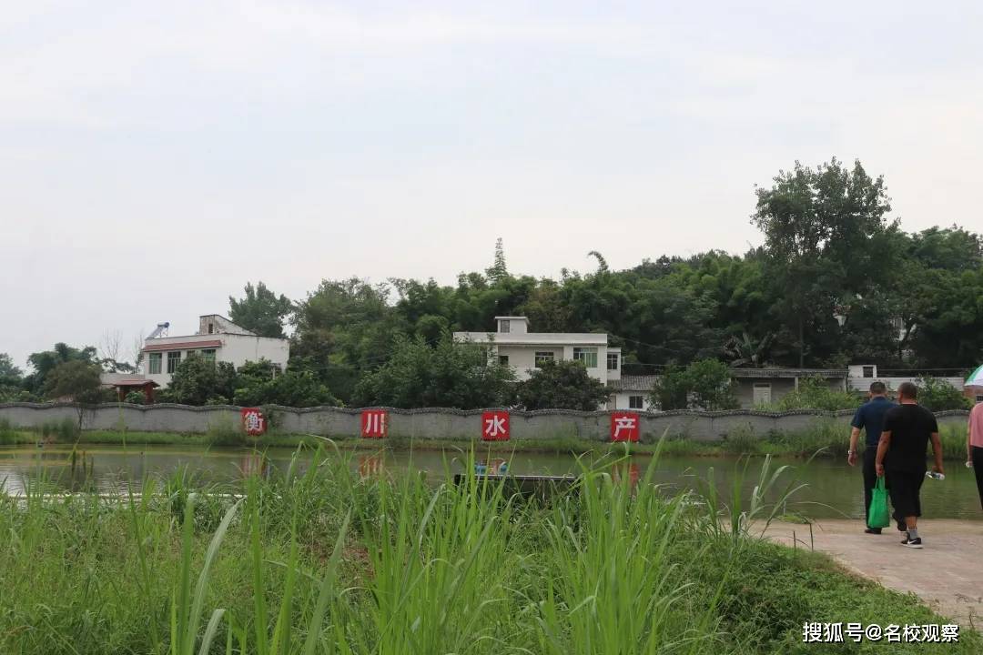 池塘|强！四川这所学校专门给学生们建了一个食材基地！